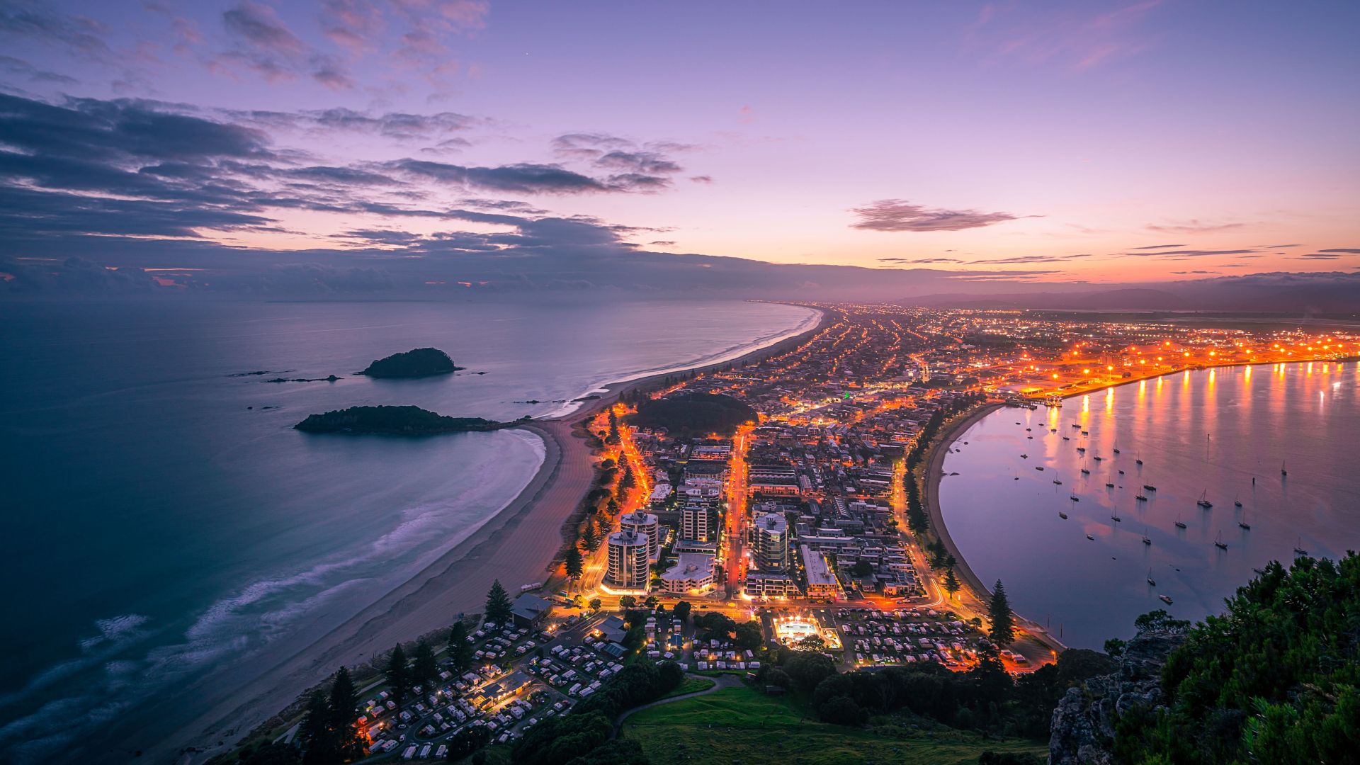 Tauranga
